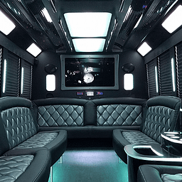 The 20 Passenger Party Bus (white)